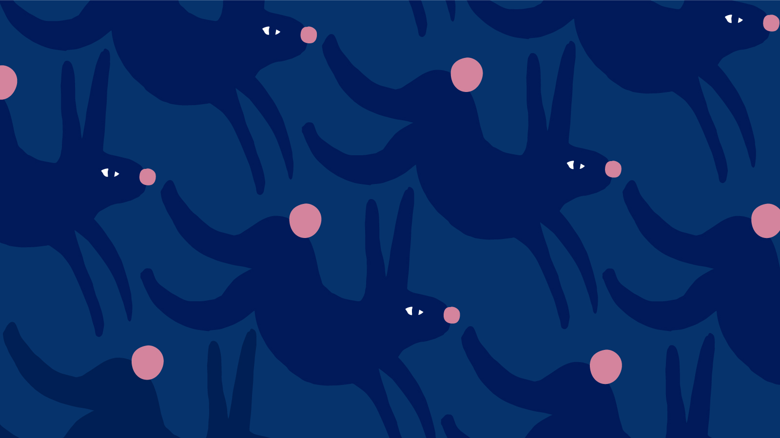 'conejos' by Romina Sandrock