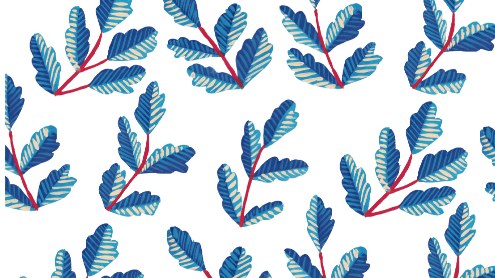 'hojitas' by Romina Sandrock